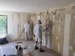 Best Mold Damage Restoration  in USA